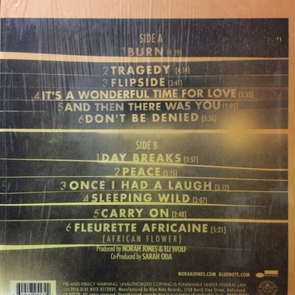 norah jones day breaks NEW 2016 jazz lp - contemporary rock r&b pop piano burn - Picture 5 of 5